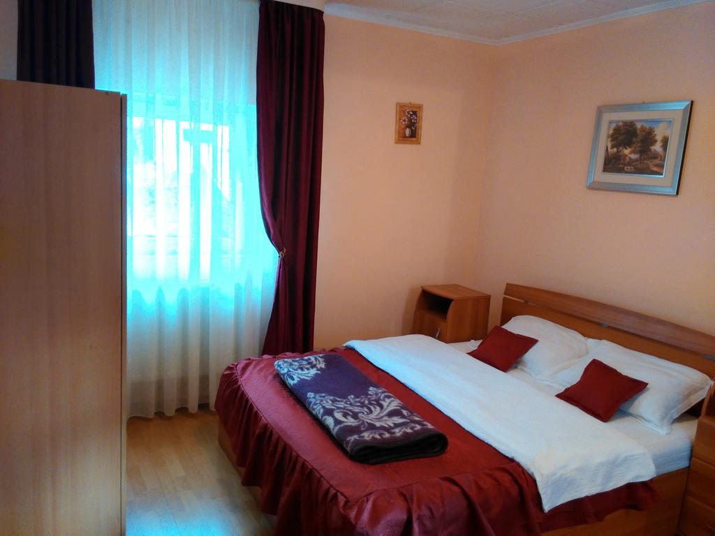 Vila Marcela Busteni Room photo